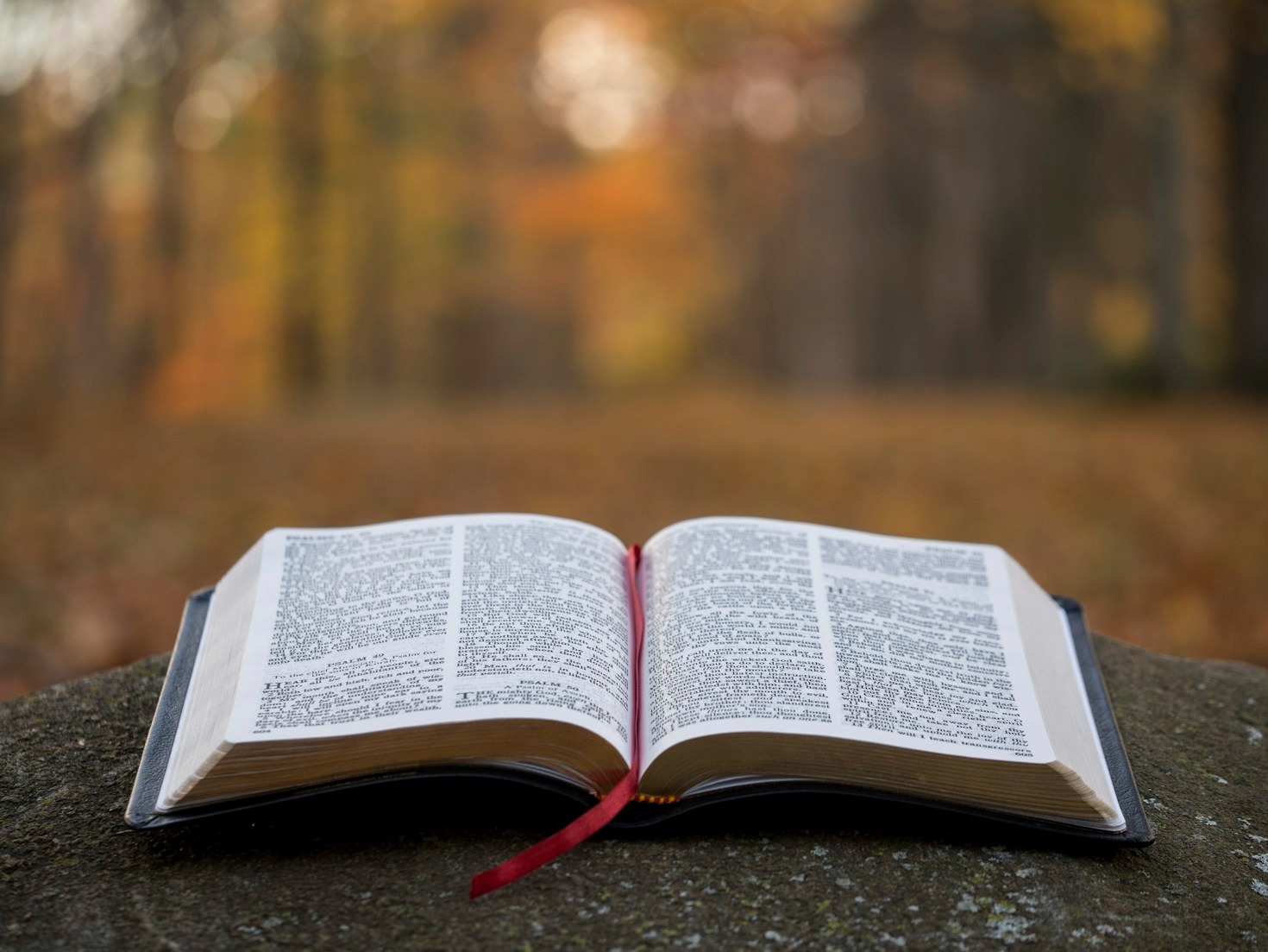 How Bible-First Teaching Transforms Lives