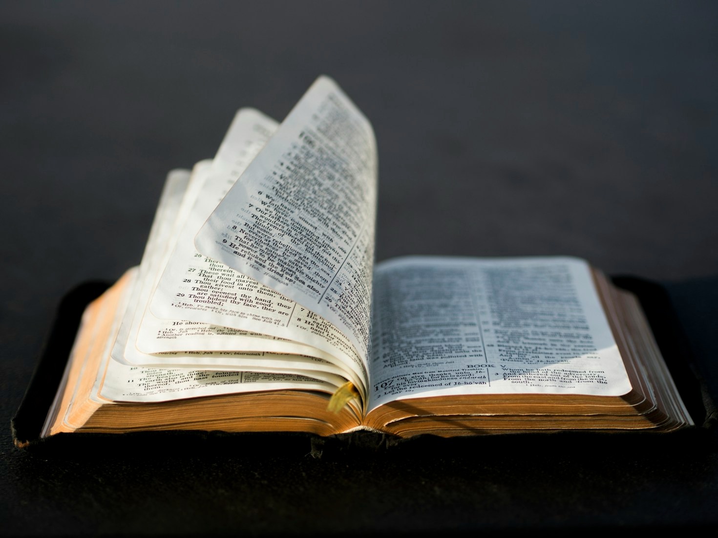 Bringing Christ-Centered Truths to Life